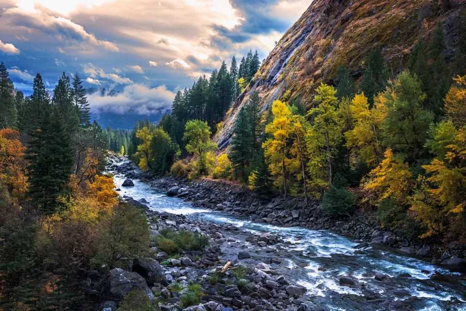 View of river in Washington State surrounded by lush forest.